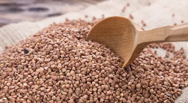 Gryka na worku jutowym, drewniana łyżka zanurzona w ziarnach. Sprawdź aktualną gryka cena za kg.