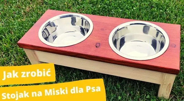 Jak zrobić stojak na miski dla psa - proste i tanie sposoby DIY
