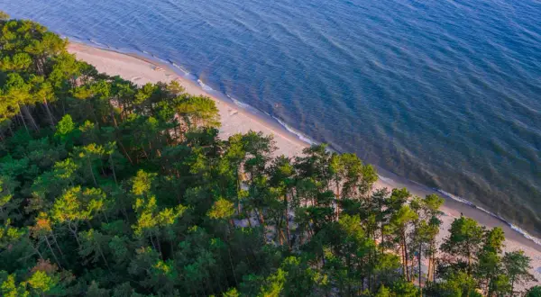 Piękna, piaszczysta plaża nad Bałtykiem, otoczona lasem sosnowym. Idealne miejsce na relaks, być może jedna z plaż naturystów w Polsce.