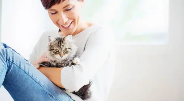 Por qué mi gato me amasa y qué significa este comportamiento afectuoso