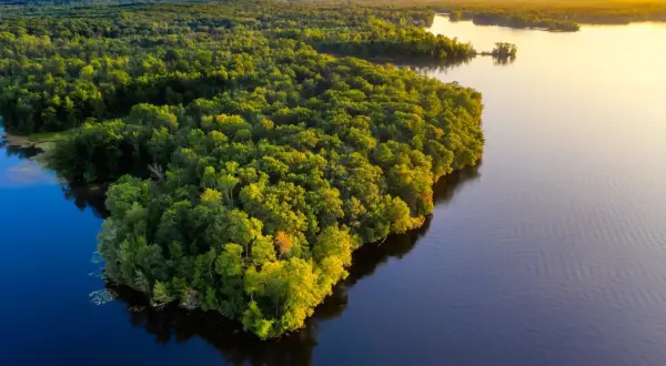 Ile można zarobić na zbiorniku? Odkryj nieoczekiwane możliwości