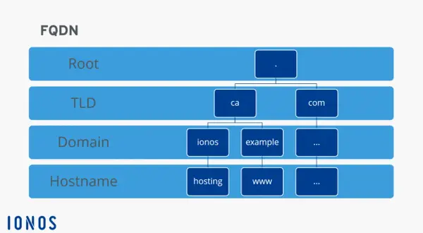 Schéma FQDN : Root, TLD (ca, com), Domain (ionos, example), Hostname (hosting, www).
