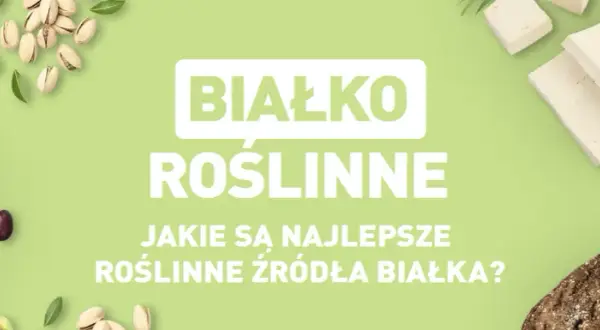 Gdzie kupić białko roślinne? Sprawdź najlepsze sklepy online