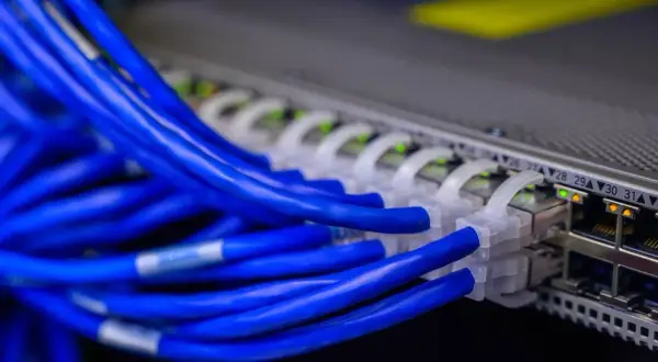 Sieć serwerów z niebieskimi kablami Ethernet. Idealne rozwiązanie dla darmowy hosting bez reklam, zapewniające stabilne połączenie.