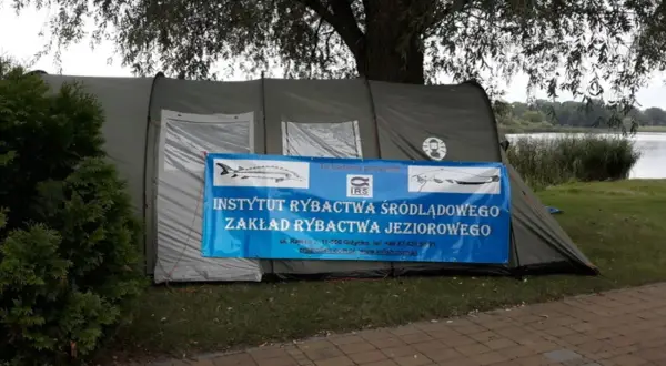 Namiot Instytutu Rybactwa Śródlądowego nad jeziorem sztumskim. Badania prowadzone są przez IRS.