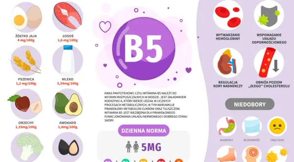 Wizualizacja przedstawia witaminę B5, jej źródła (jajka, łosoś, pszenica, mleko, orzechy, awokado, brokuły, nasiona słonecznika), korzystne działanie (hemoglobina, odporność, nadnercza, cholesterol) i objawy niedoboru.