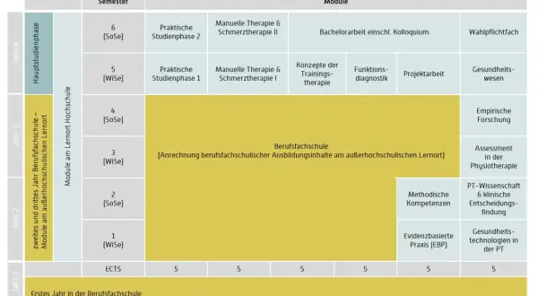 Studienverlaufsplan für ein duales Studium Physiotherapie NRW mit Modulen wie Manuelle Therapie, Trainingskonzepte und PT-Wissenschaft.