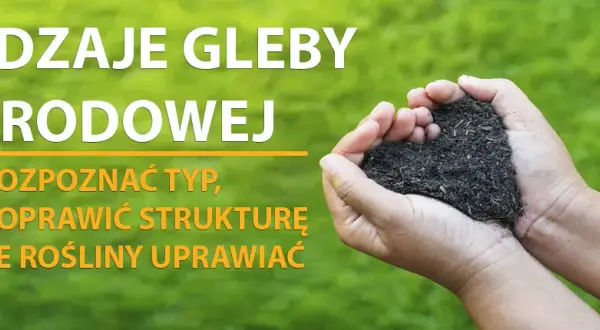Polska gleba w ogrodzie: Jak ją rozpoznać i uprawiać?
