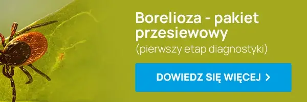 Kiedy zrobić badania na boreliozę? Nie przegap optymalnego momentu po ukąszeniu kleszcza!