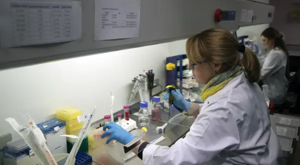 Naukowczyni w laboratorium pracuje z pipetą i próbówkami.