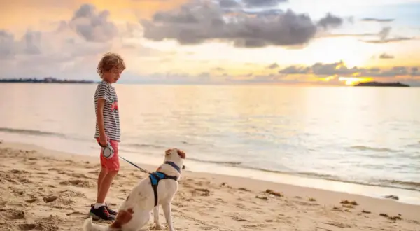 Un garçon et son chien profitent d'un coucher de soleil sur la plage de Gruissan.
