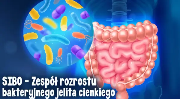 Grafika przedstawia jelita i bakterie, ilustrując problem SIBO. Objawy mogą być uciążliwe.
