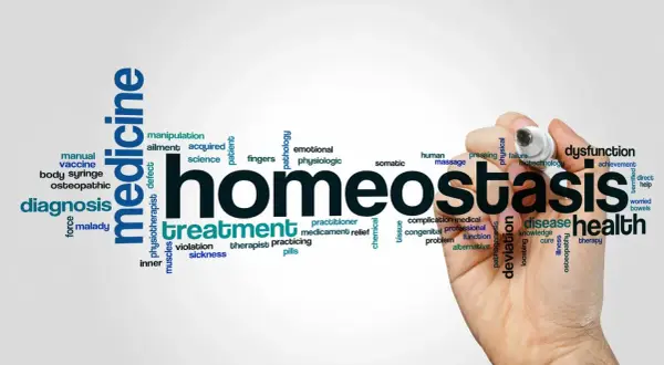 Chmura słów związanych z medycyną, z hasłem "homeostaza" na pierwszym planie, podkreślająca znaczenie równowagi w zdrowiu.