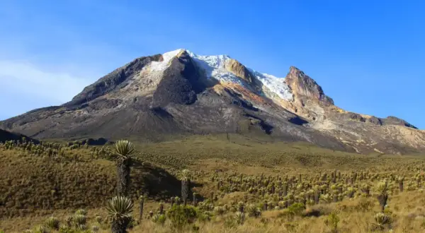 Paysage de haute montagne en Colombie, avec un volcan enneigé et une végétation unique de frailejones. Une invitation à la randonnée.