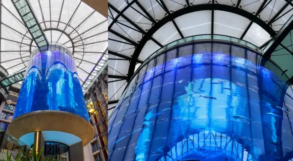 AquaDom oceanarium Berlin - tragiczne wydarzenia i plany na przyszłość