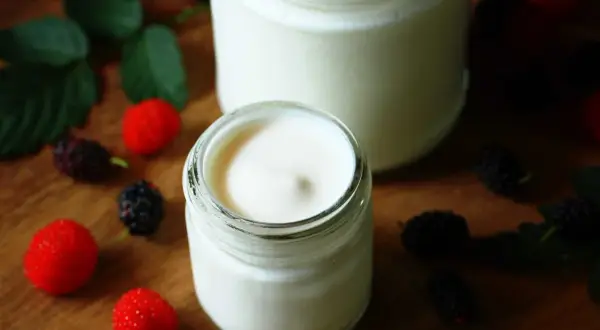 Dos frascos de yogurt casero cremoso, decorados con moras y hojas verdes. Una guía visual para aprender como hacer yogurt casero.
