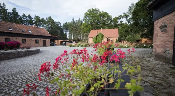 Agroturystyka z dżygitówką i stajnią. Urokliwy dziedziniec z czerwonymi pelargoniami, brukowany podjazd i ceglane budynki.