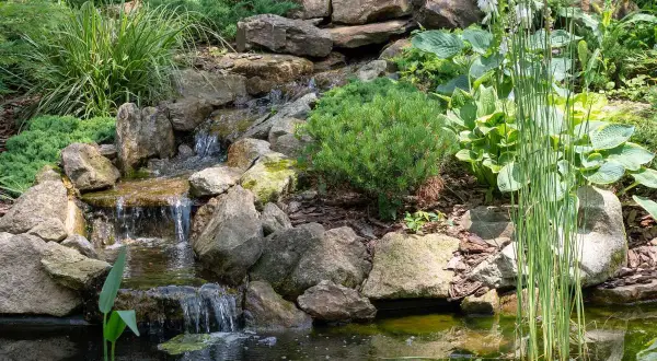 Un exemple de cascade pour bassin, avec des rochers, de la végétation luxuriante et une eau claire.