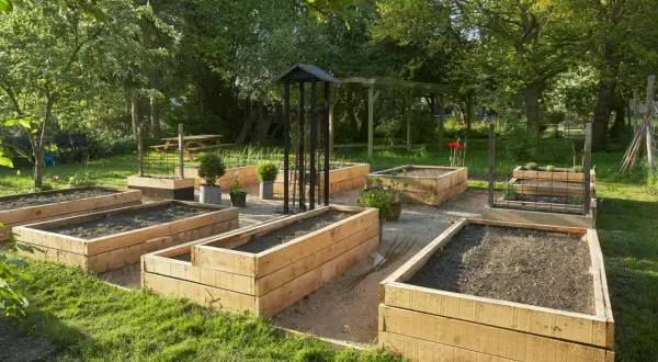 En vacker trädgård med flera nybyggda odlingslådor på ben, redo för plantering.