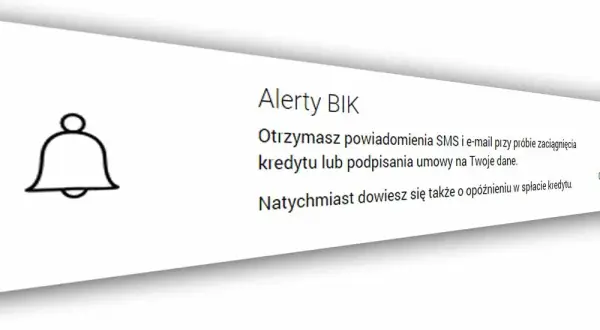 Oszuści wyłudzają pożyczki: Jak się chronić? Poradnik BIK.