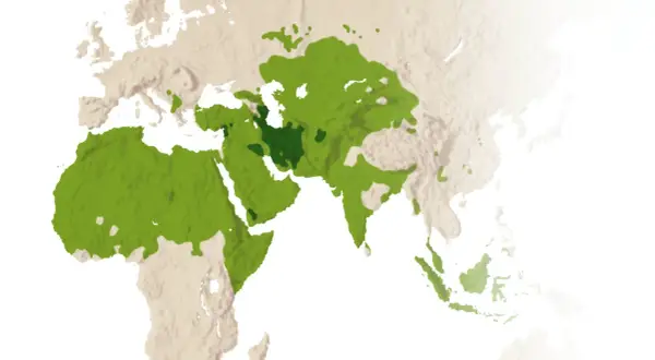 Karta som visar spridningen av islam. Kanske 10 skillnader mellan shia och sunni kan förklaras med dessa områden.