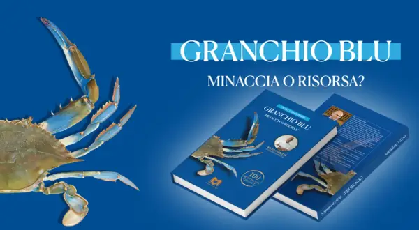 Il granchio blu, minaccia o risorsa? Libri esplorano il fenomeno, con ricette e interviste.