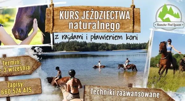 Jeździectwo naturalne kursy - jak wybrać najlepszy program szkoleniowy?