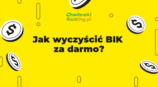 Jak usunąć BIK legalnie i za darmo? Poradnik krok po kroku