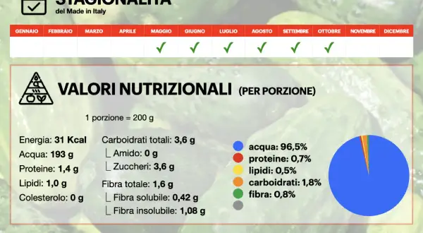 Cetriolo: scopri le sue proprietà nutrizionali e stagionalità. Ricco d'acqua, con pochi grassi e carboidrati, ideale per una dieta leggera.