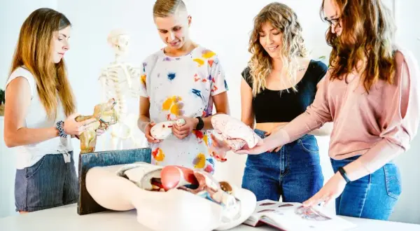 Fizjoterapia jakie przedmioty na studiach – co musisz wiedzieć?