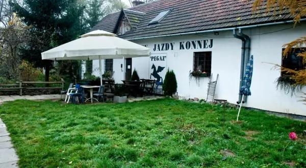 Najlepsze stadniny w Krakowie: gdzie znaleźć idealne miejsce do jazdy?