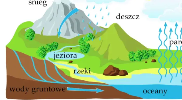 Skąd woda w kranie? Poznaj całą drogę i tajniki uzdatniania!