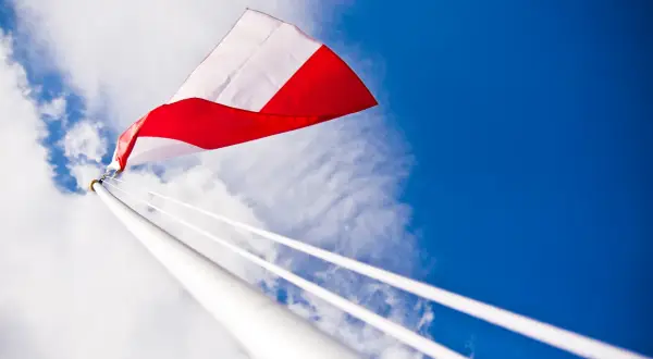 Tadar to polska firma? Poznaj fakty o kapitale i produkcji!