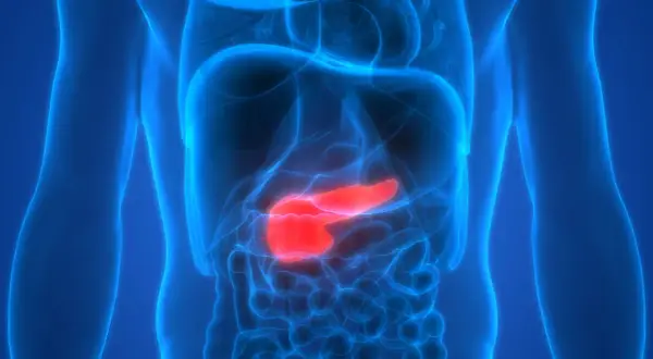 Anatomia człowieka z podświetloną na czerwono trzustką. Obraz symbolizuje trudne rokowania w przypadku raka trzustki, podkreślając potrzebę badań i wczesnego wykrycia.