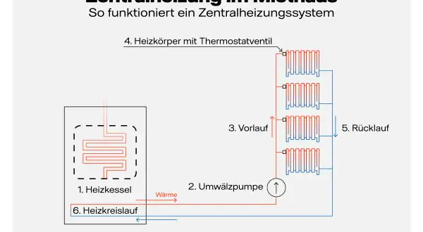 Schema erklärt die Bedeutung der Zentralheizung: Heizkessel erzeugt Wärme, Umwälzpumpe verteilt sie über Vorlauf zu Heizkörpern, Rücklauf führt sie zurück.
