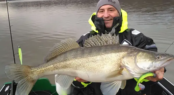 Glücklicher Angler hält einen großen Zander, gefangen im Edersee. Die Fische hier sind beeindruckend!