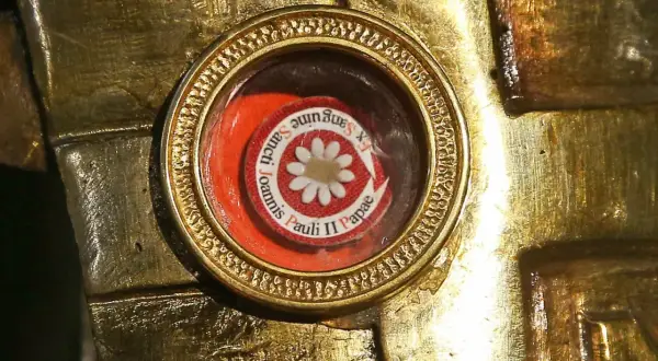 Złota oprawa zawiera relikwie, okrągły medalik z napisem "Ex Sanguine Sancti Joannis Pauli II Papae" i białym kwiatkiem.
