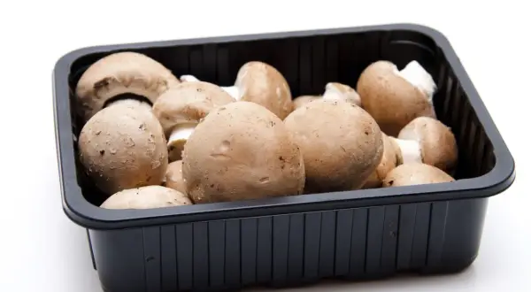 Taca z brązowymi pieczarkami na białym tle.