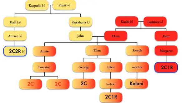 Arbre généalogique avec des noms et des liens familiaux, utilisant des formes colorées.