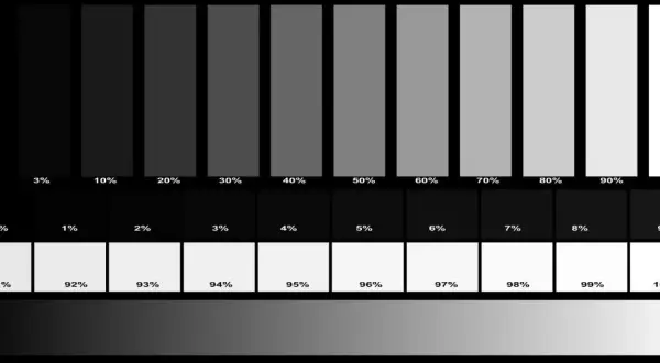 Paski szarości od 0% do 100% pomagają ocenić, jak skalibrować monitor do obróbki zdjęć, zapewniając dokładne odwzorowanie barw.