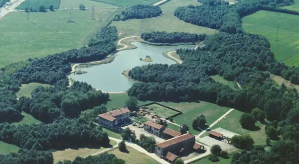 Un'oasi di pace: un lago serpeggia tra fitti alberi, creando un bosco in città. Edifici rurali si affacciano su prati verdi.
