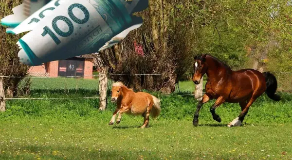 Dwa konie, duży i kucyk, biegają po łące. Nad nimi leci zwinięty banknot 100 zł, symbolizując dopłaty do koni.