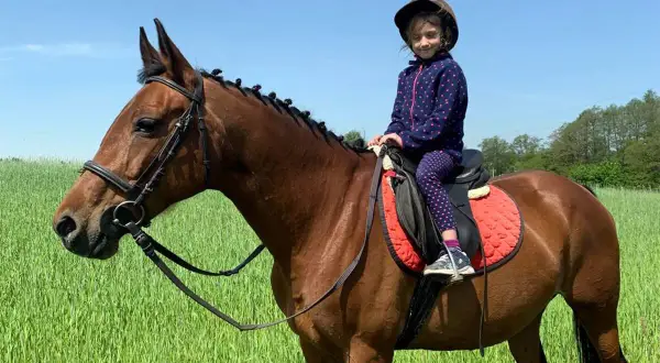 Mała dziewczynka w kasku siedzi na koniu w zielonym polu. To piękny dzień w stajni Cheval Mariampol.