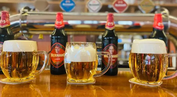 Trzy kufle złotego piwa z obfitą pianą, butelki Bernarda w tle. Nic nie zabija zapachu piwa tak jak jego smak!