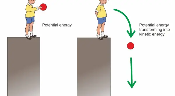 Chłopiec trzyma piłkę, która ma energię potencjalną. Po upuszczeniu piłka spada, a energia potencjalna zamienia się w kinetyczną.