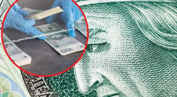Ręce w rękawiczkach liczą banknoty 100 zł. Obok widać fragment banknotu z podobizną królowej, jakby to był funt szkocki.