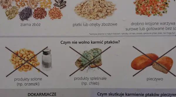 Zdjęcie przedstawia różne rodzaje ziaren, płatków i warzyw, a także zakazane produkty: solone orzeszki, spleśniały chleb i pieczywo.