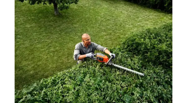 Hombre con gafas y guantes realiza la poda de setos con una cortasetos eléctrica. El césped verde y un árbol completan la escena.