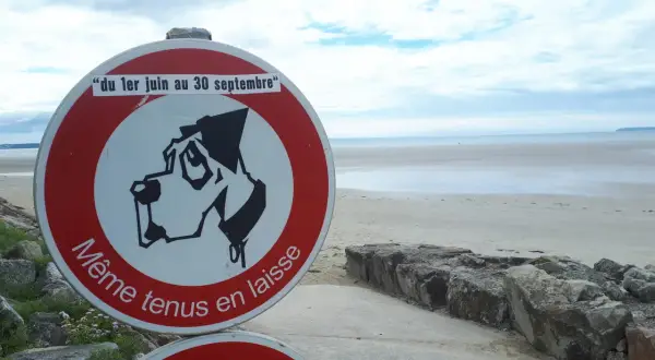 Panneau "Même tenus en laisse" sur une plage accessible aux chiens, du 1er juin au 30 septembre.