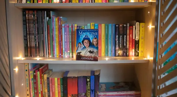 Półka z książkami, na środku książka "Magiczne Drzewo" Andrzeja Maleszki, ozdobiona lampkami.
